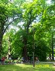 003_ADFC_Havelland-Radweg-nach Nauen_ 17_05_2008 Foto_j_Dirschl.jpg